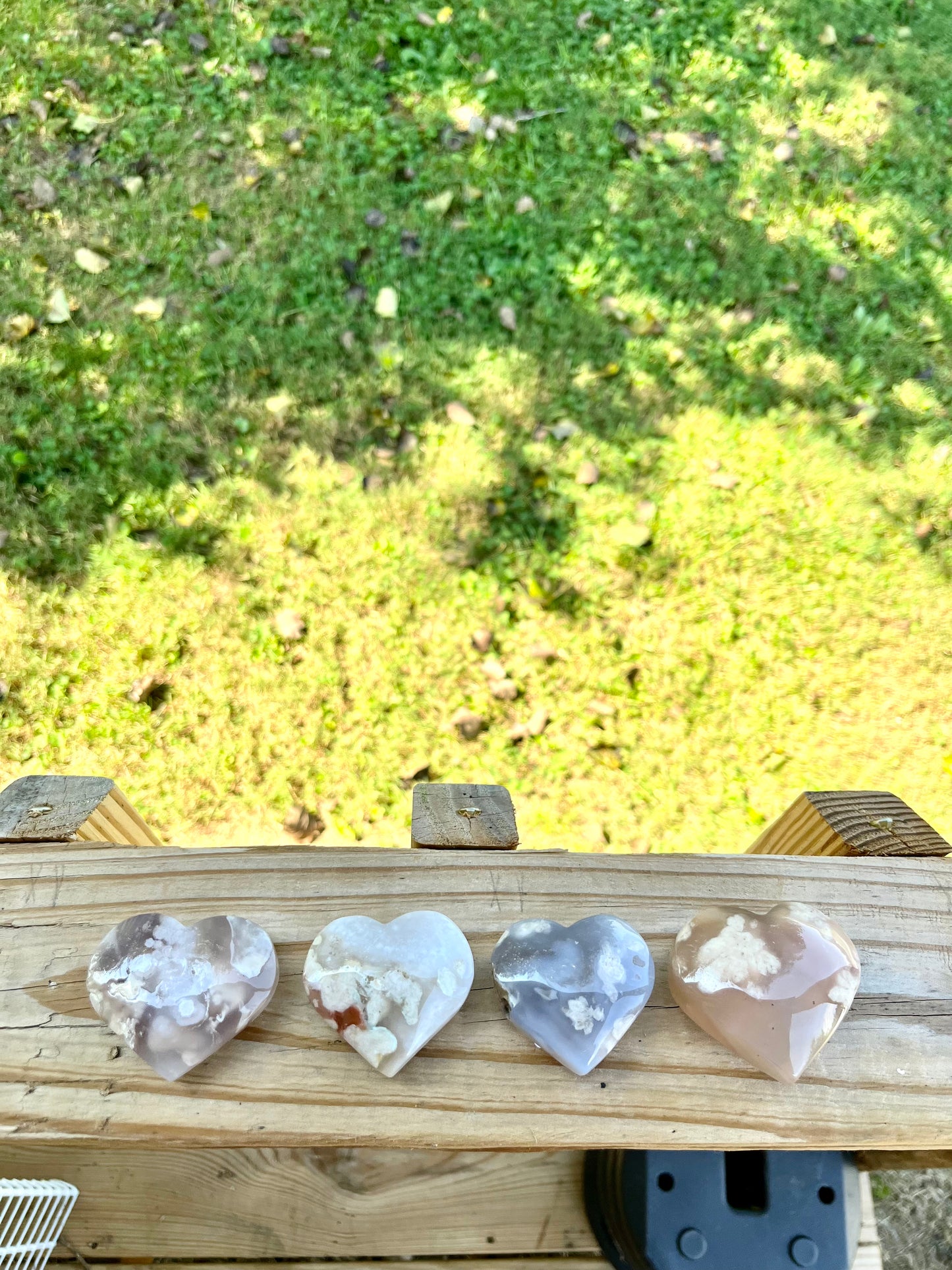 Flower Agate Hearts