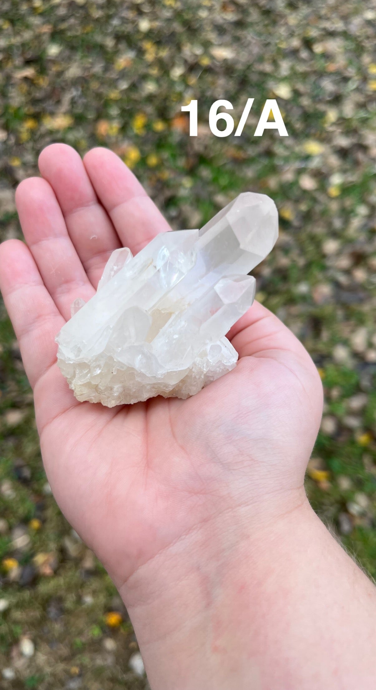 Clear Quartz Cluster