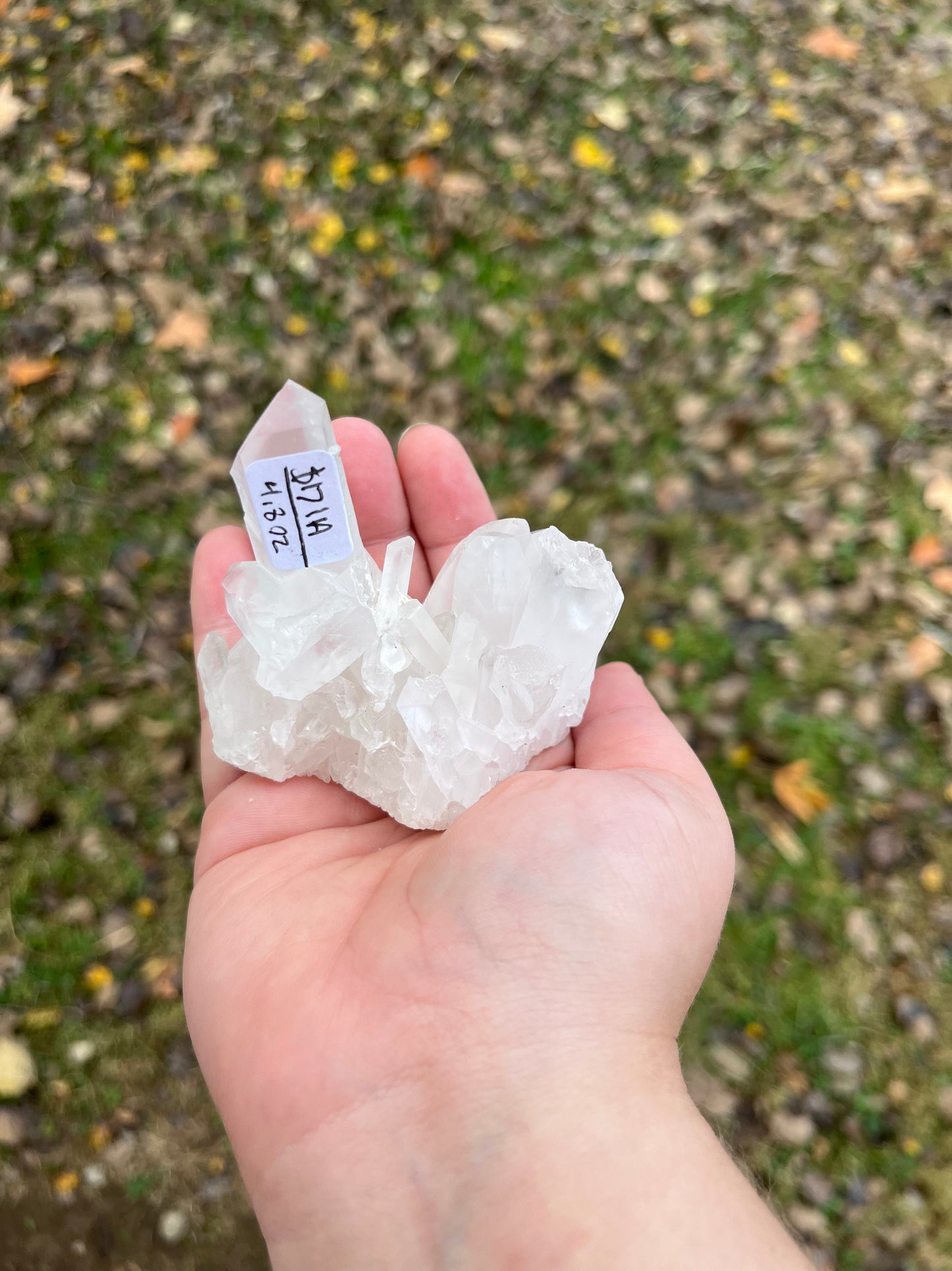 Clear Quartz Cluster