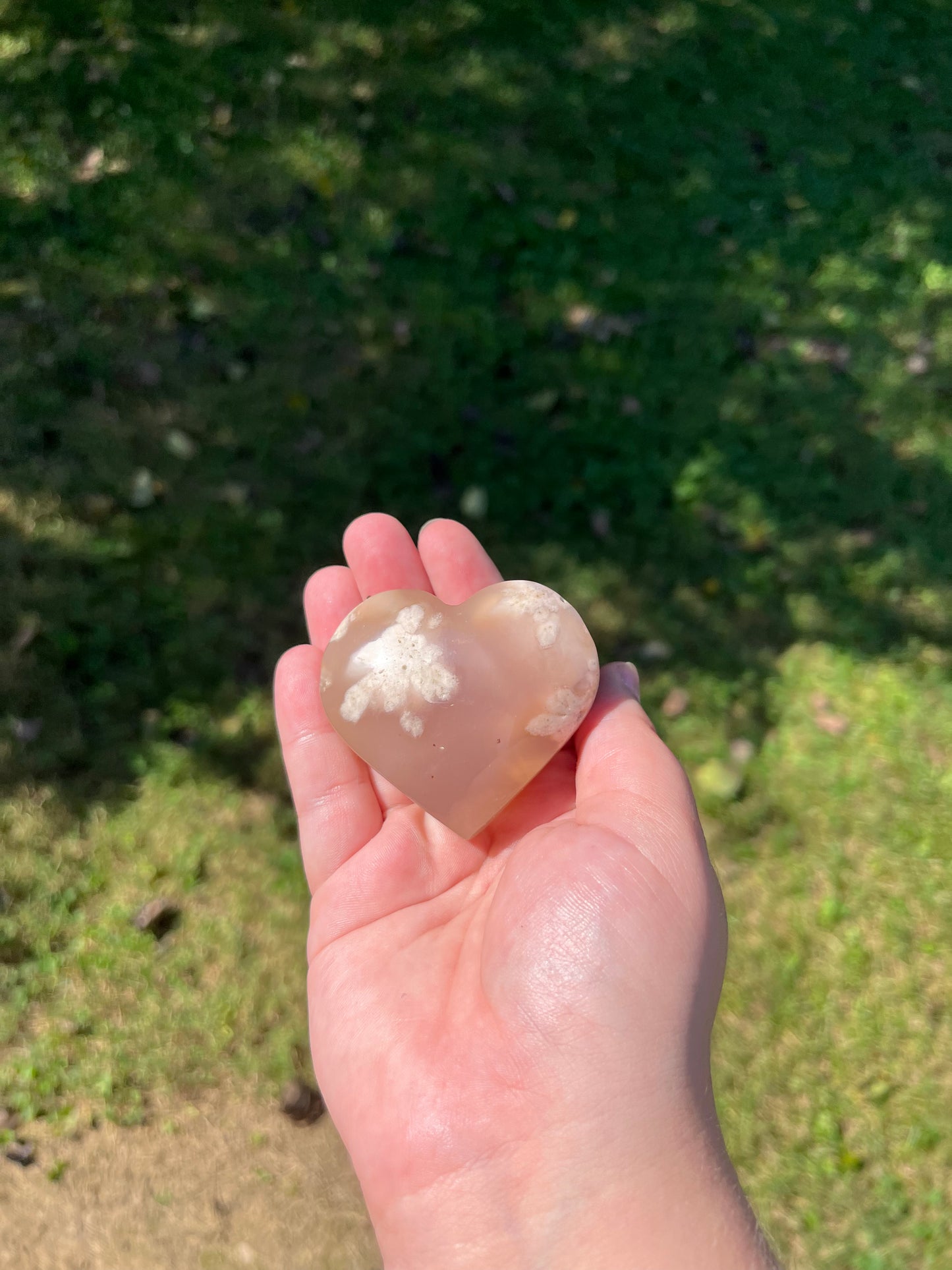 Flower Agate Hearts