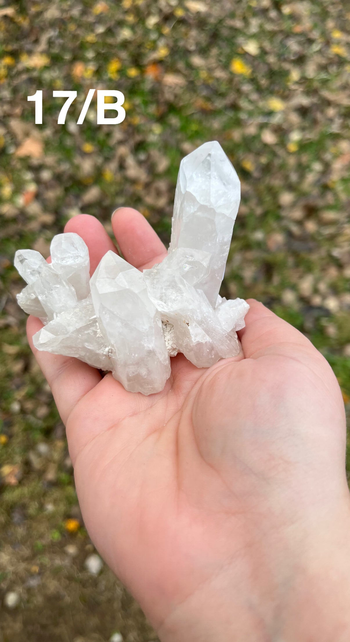 Clear Quartz Cluster