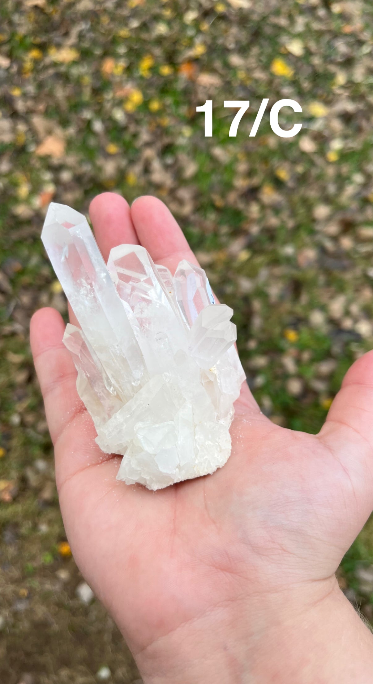 Clear Quartz Cluster