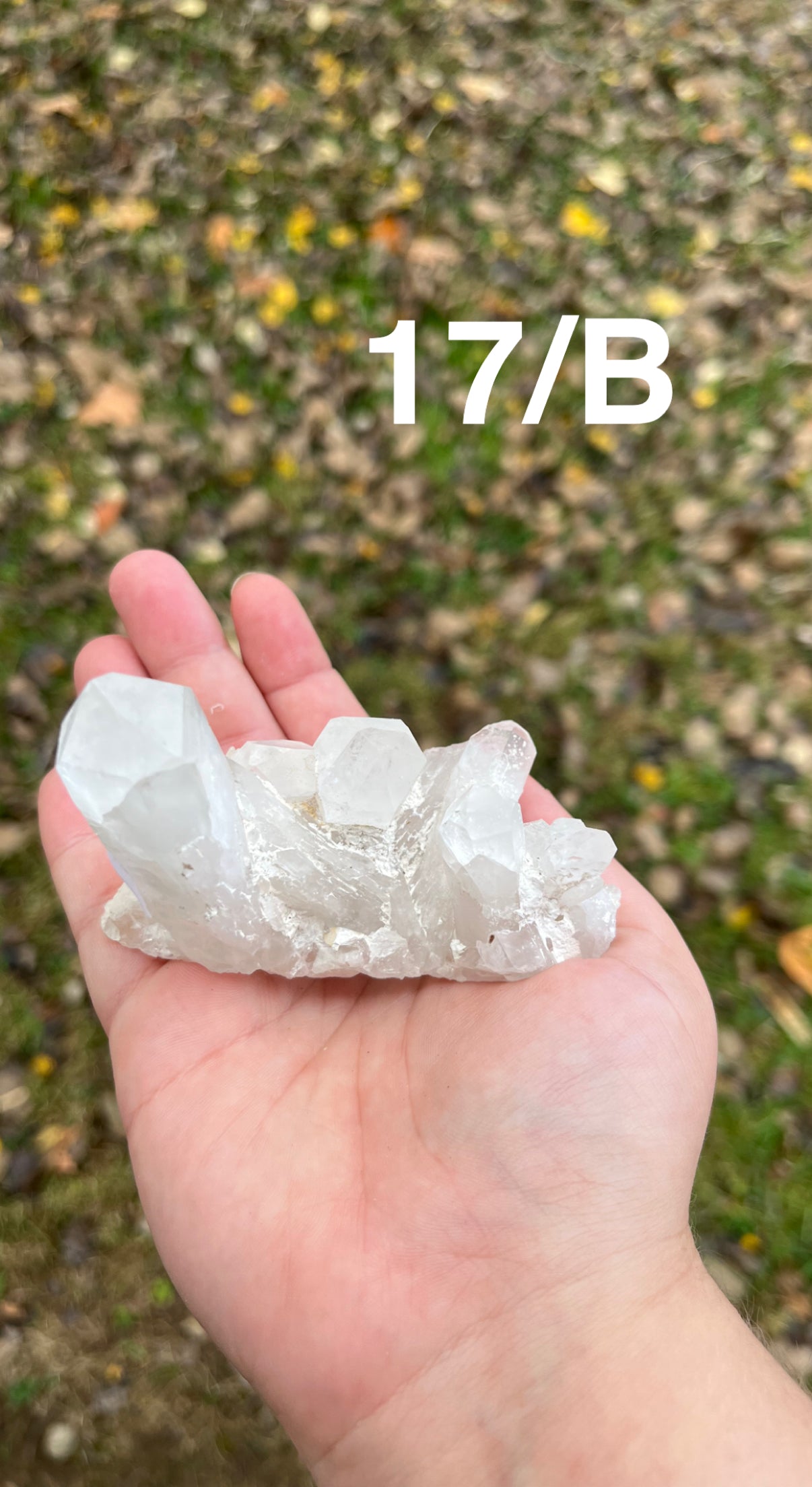 Clear Quartz Cluster