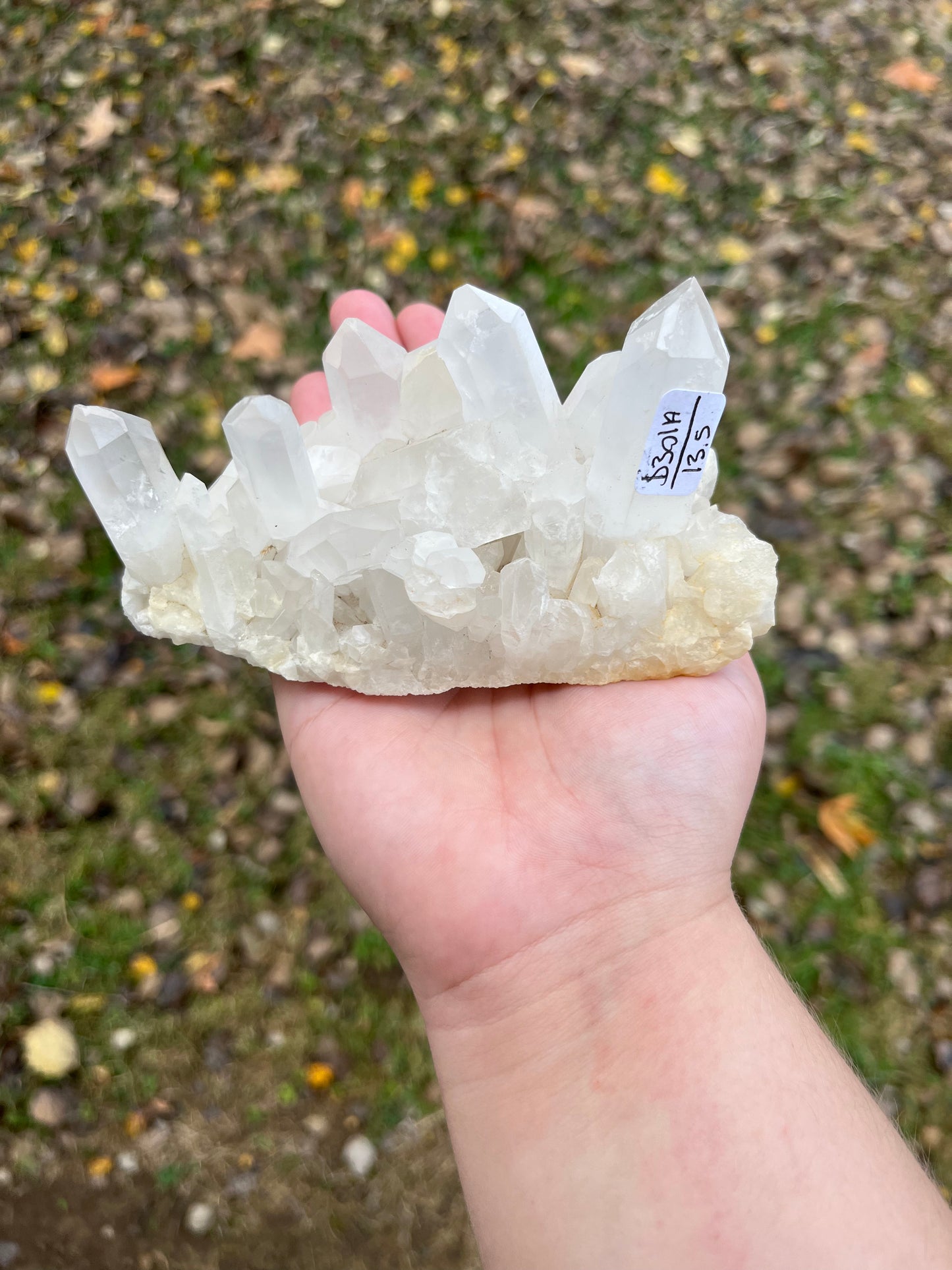 Clear Quartz Cluster