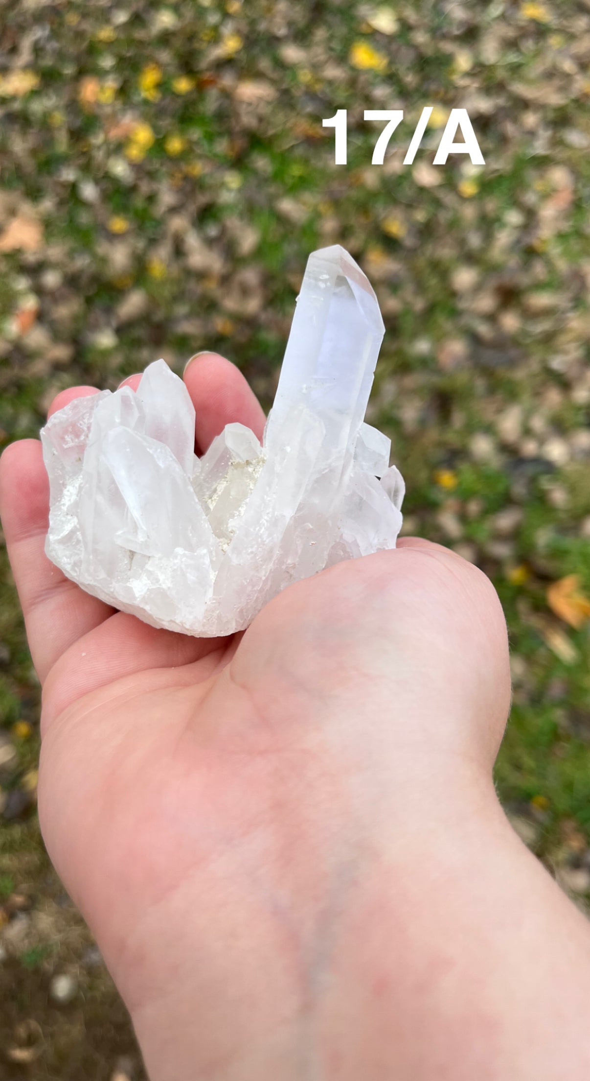 Clear Quartz Cluster