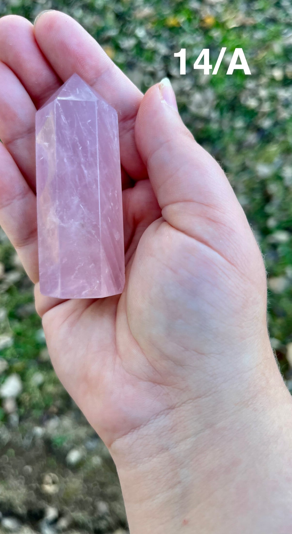 Rose Quartz Towers