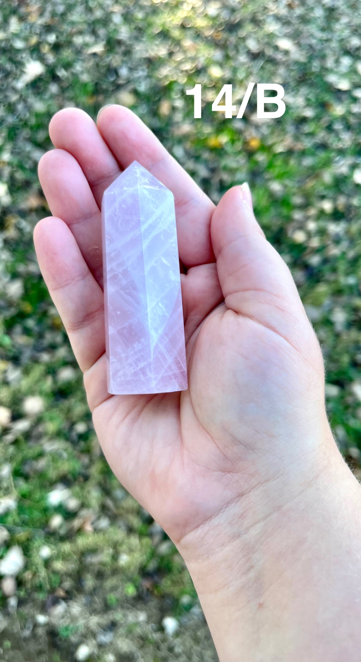 Rose Quartz Towers