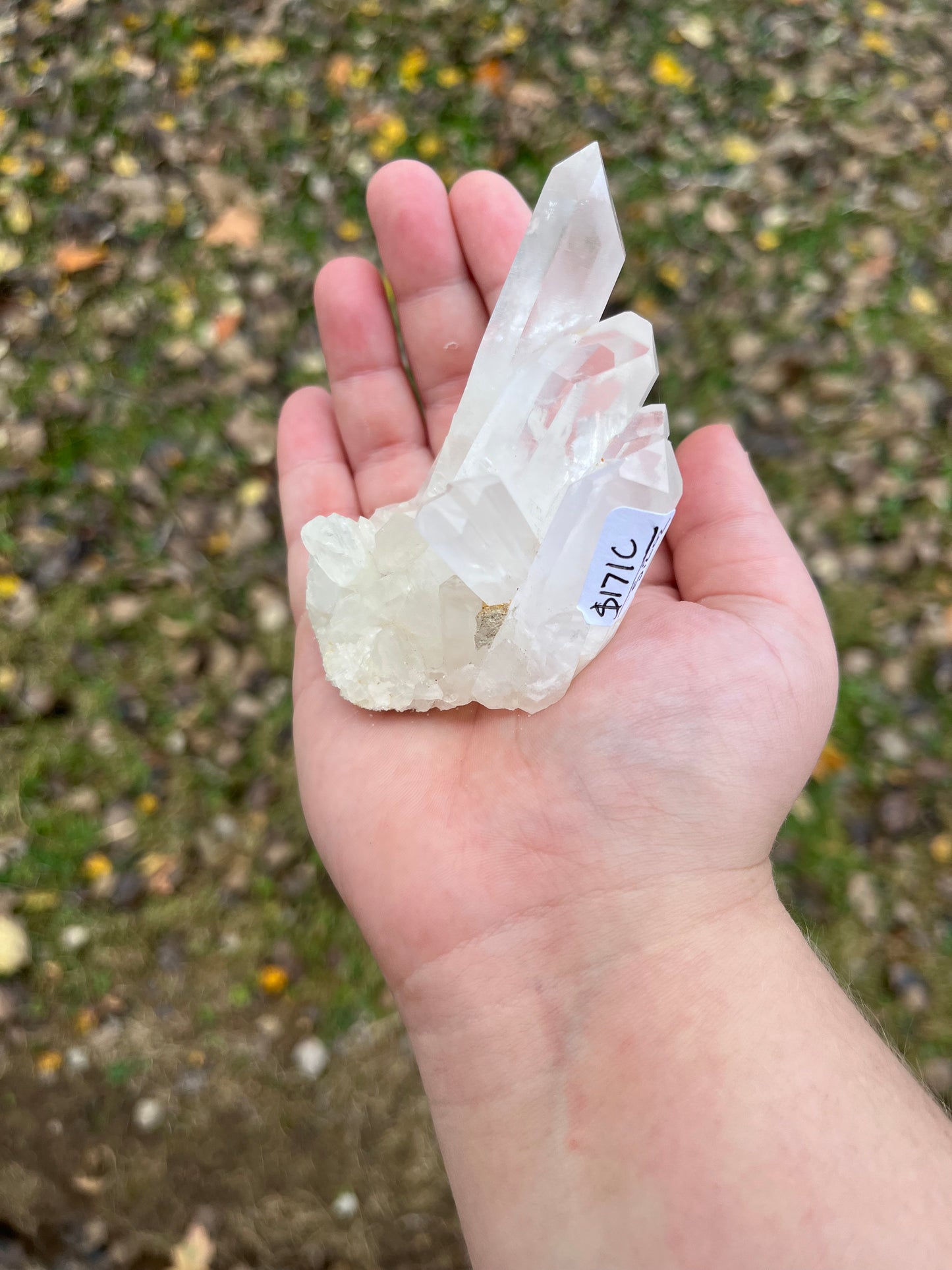 Clear Quartz Cluster