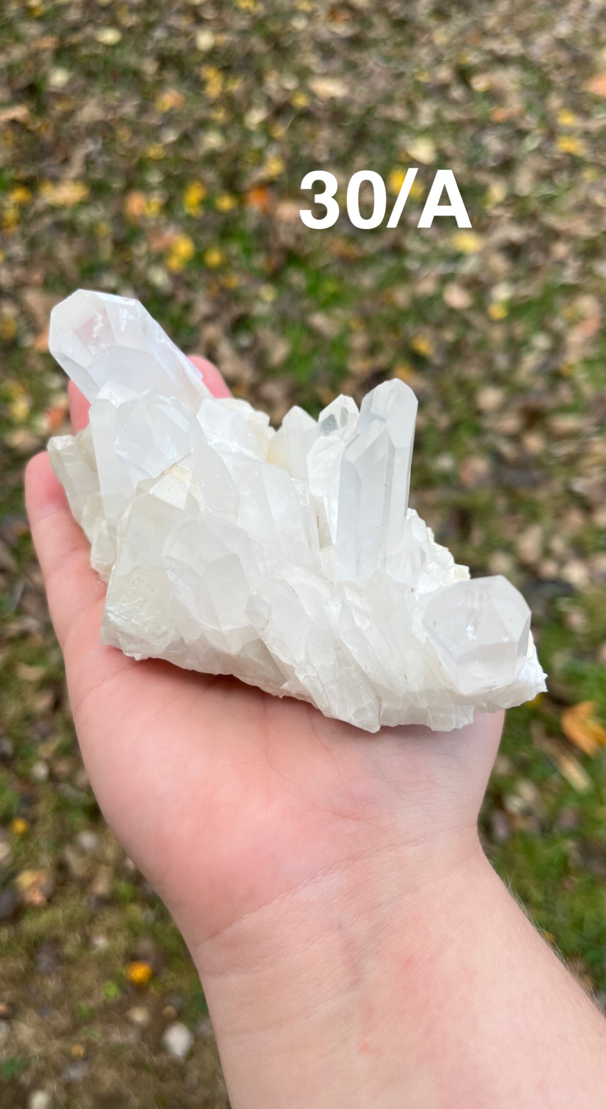 Clear Quartz Cluster