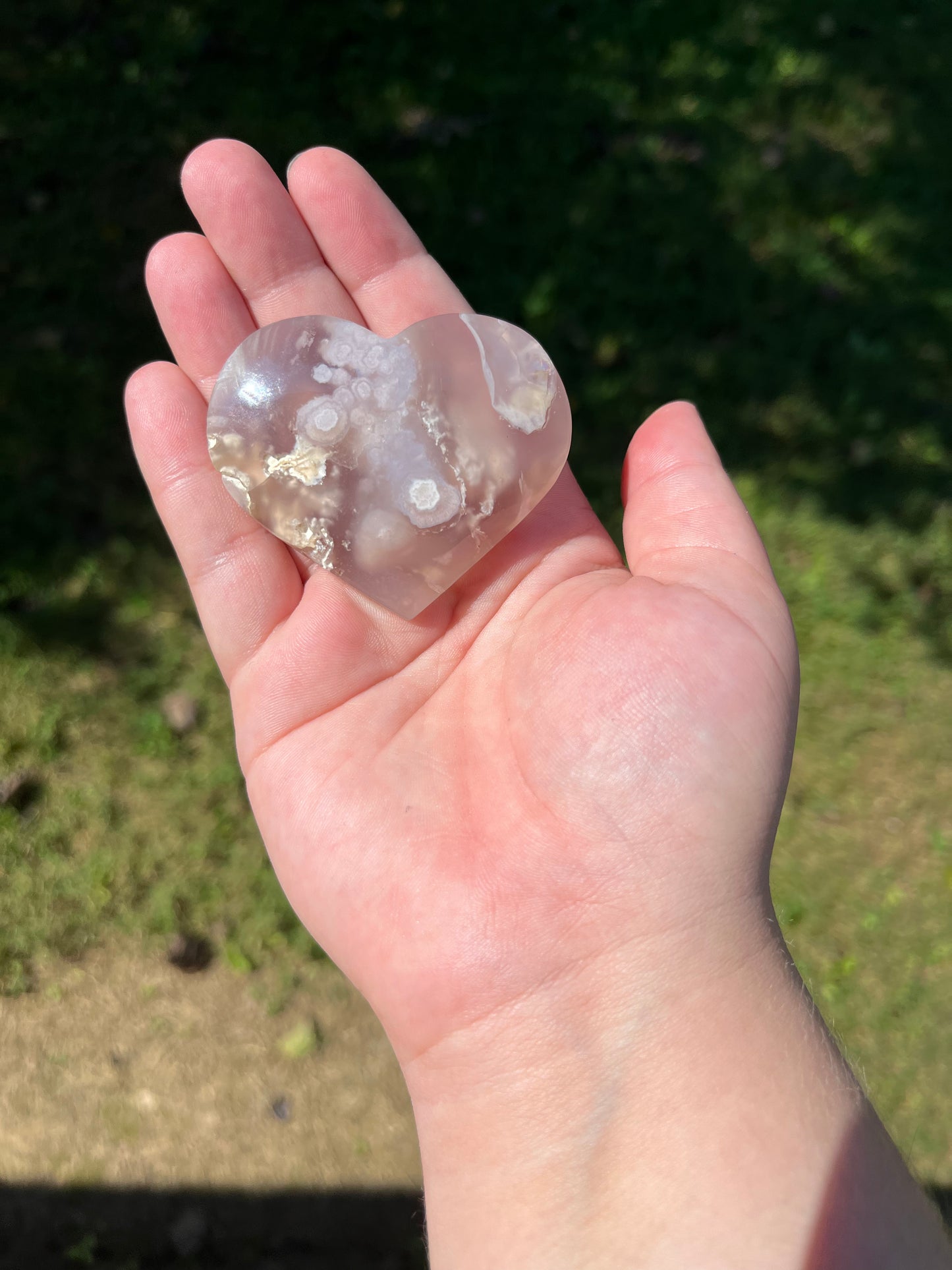 Flower Agate Hearts