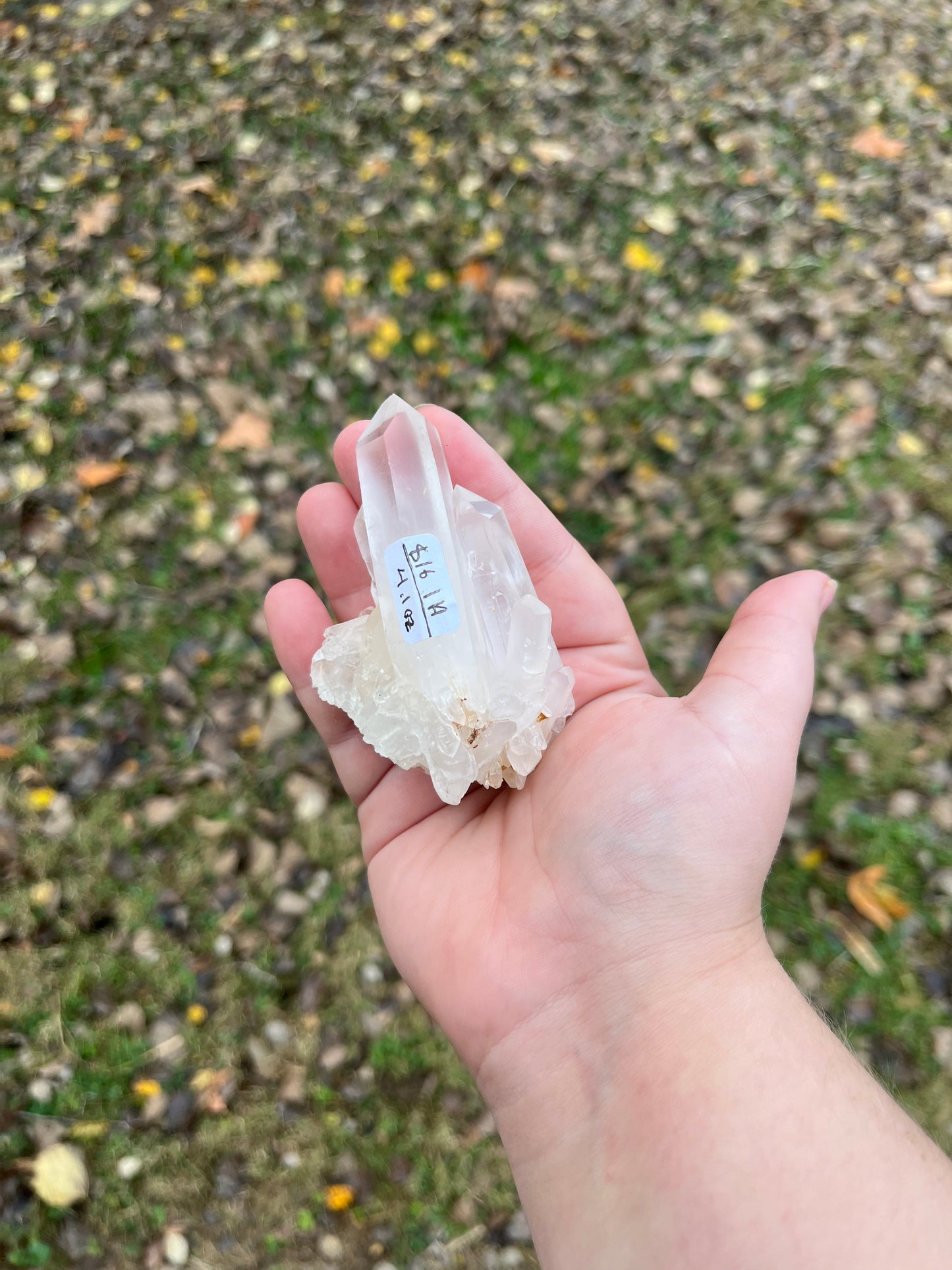 Clear Quartz Cluster